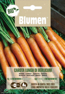 Carota Lunga Di Berlicum