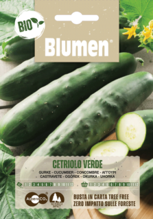 Cetriolo Verde