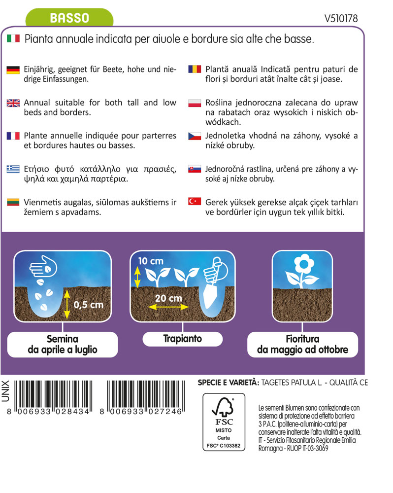 Tagete Nano Bronzato - immagine 2