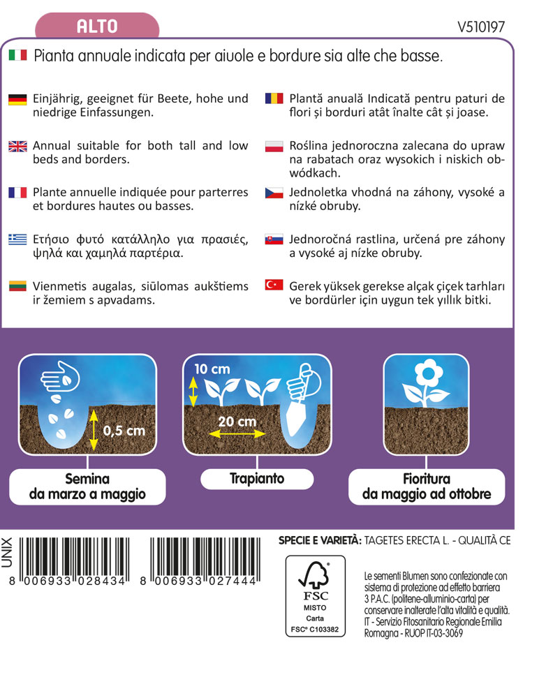 Tagete Alto Doppio Giallo - immagine 2