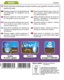Campanula Doppia In Miscuglio - immagine 2