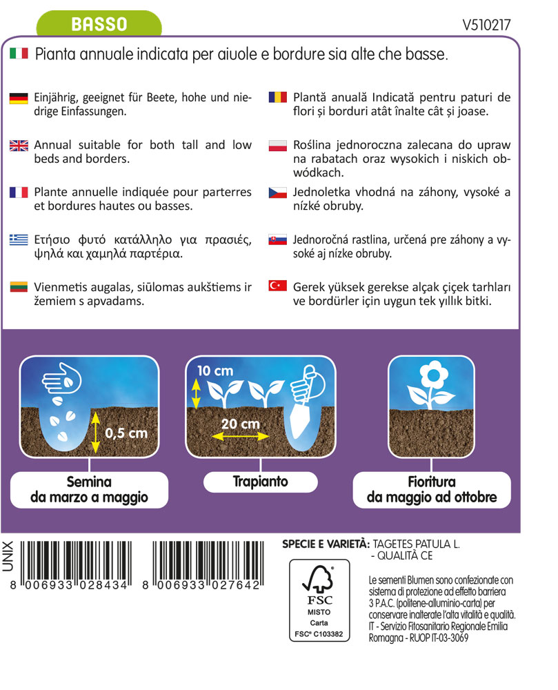 Tagete Nano Doppio Giallo - immagine 2