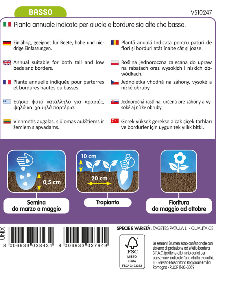 Tagete Nano Doppio Arancio - immagine 2