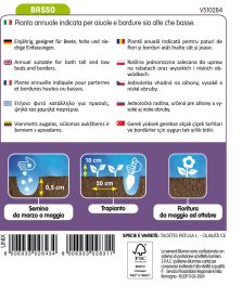 Tagete Nano Dainty Marietta - immagine 2