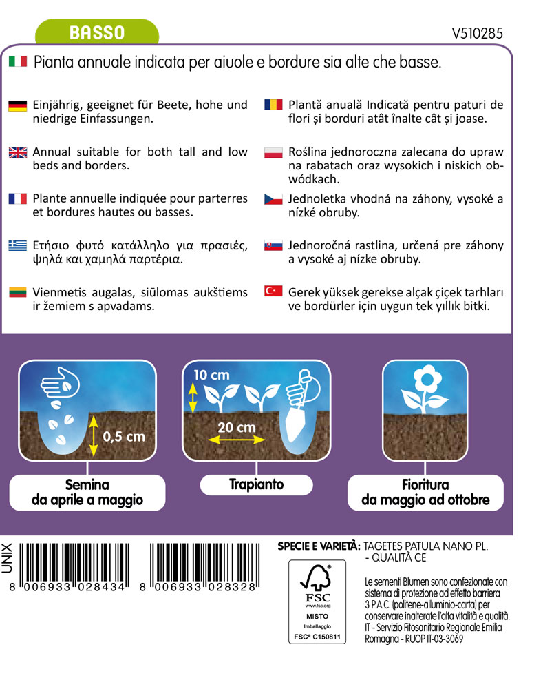 Tagete Ursula Nano Da Bordura - immagine 2