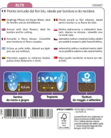 Centaurea/Fiordaliso Alto Fiori Doppi - immagine 2