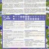 Mix Di Fiori Alti Per Aree Ombreggiate - immagine 2