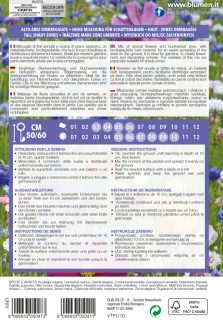 Mix Di Fiori Alti Per Aree Ombreggiate - immagine 2