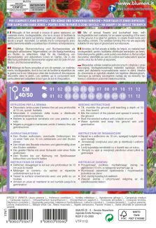 Mix Di Fiori Per Scarpate E Zone Difficili - immagine 2