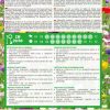 Mix Di Fiori Universale - immagine 2