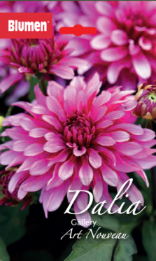 Dalia Gallery Art Nouveau