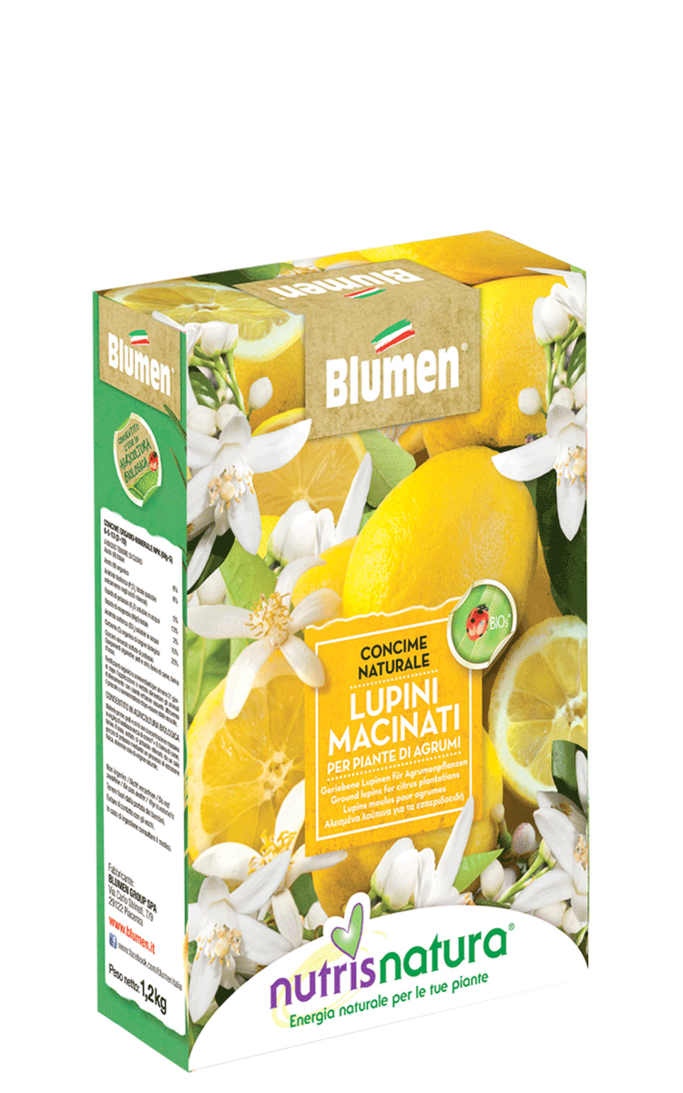 Concime Naturale Lupini Macinati Limoni E Piante Di Agrumi - Blumen