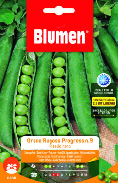 Piselli Nani Grano Rugoso Progress N. 9
