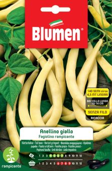 Fagiolini Rampicanti Gancetto Giallo