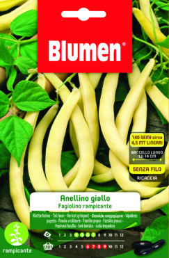 Fagiolini Rampicanti Gancetto Giallo