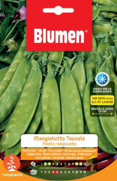 Piselli Rampicanti Mangiatutto Taccola