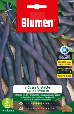 Fagiolini Rampicanti A Cosse Violette