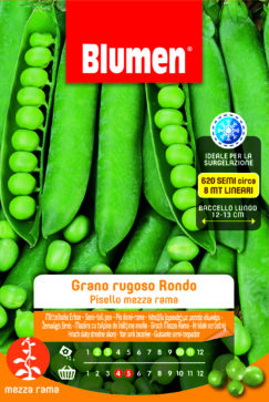Piselli Mezza Rama Grano Rugoso Rondo