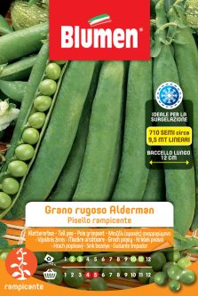 Piselli Rampicanti Grano Rugoso Alderman