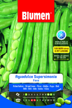 Fava Aguadulce Supersimonia