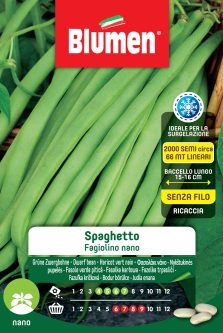 Fagiolini Nani Spaghetto