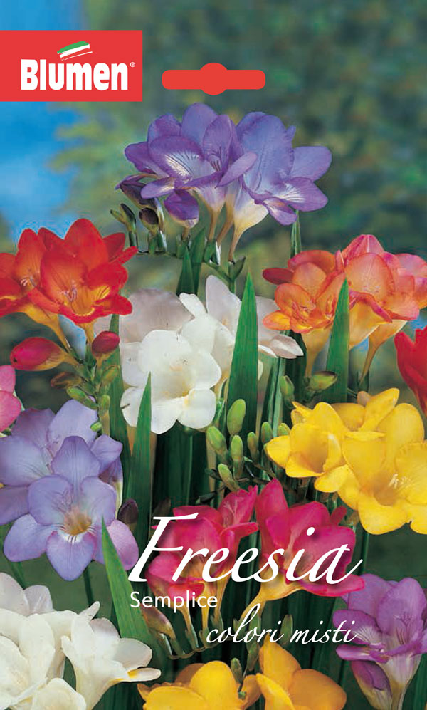 Cucimetal Lester N°30/2, Filo Metallizzato Tre Stelle Oro Argento - Foto 2