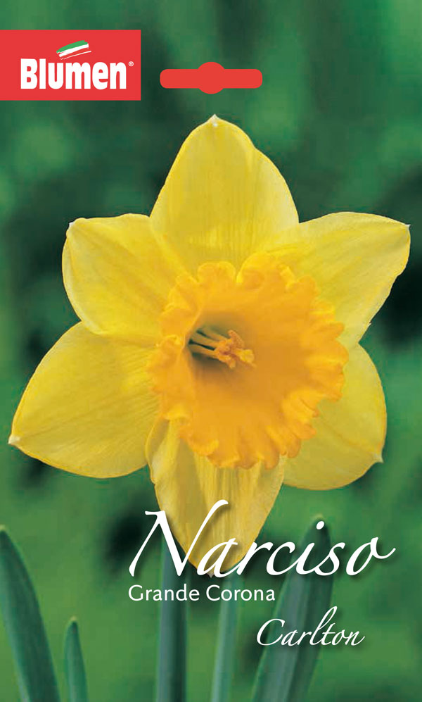 Corona Primaverile Per Porta 51cm - Fiori Artificiali Pansé, Decorazione Colorata Per Casa Interno/Esterno - Foto 12