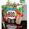 Kit Spice my day - immagine 12