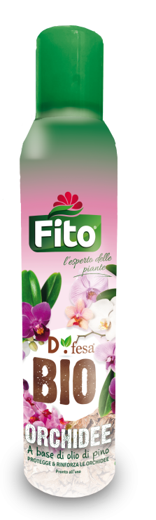 Kit Orchidee - immagine 6
