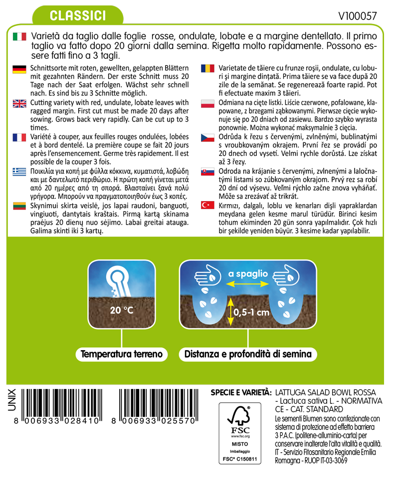 Lattuga Da Taglio Rossa A Foglia Riccia - immagine 2