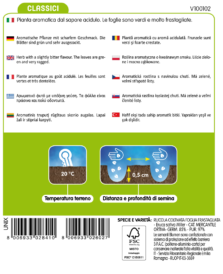 Rucola Coltivata - immagine 2