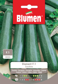 zucchino diamant F.1