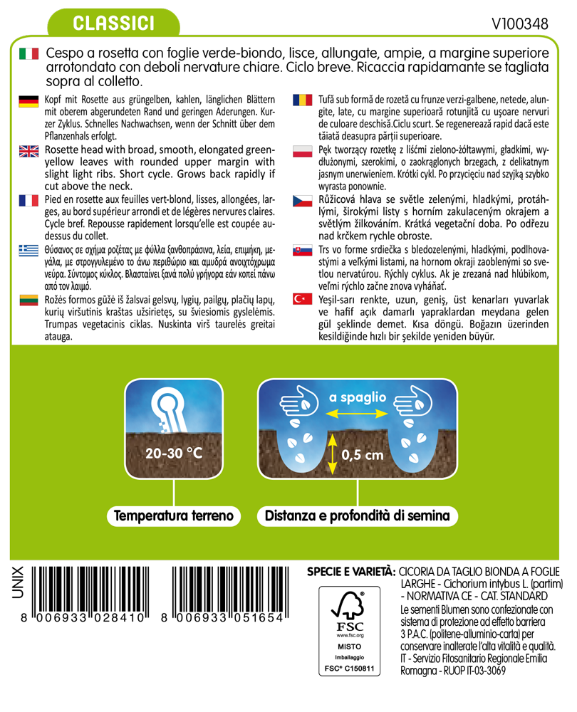 cicoria da taglio bionda a foglia larga