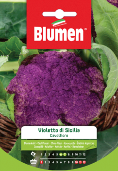 cavolfiore violetto di sicilia