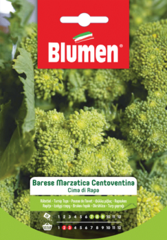 cima di rapa barese marzatica centoventina