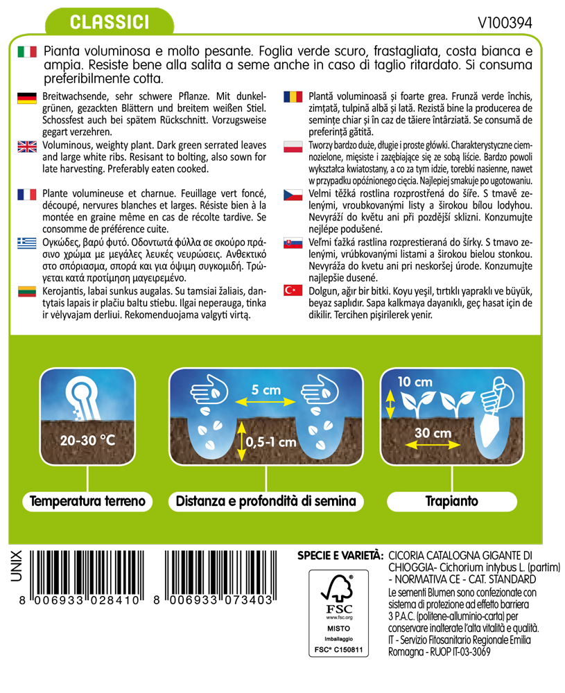 cicoria catalogna gigante di chioggia