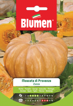 zucca moscata di provenza