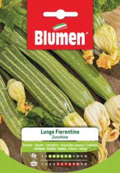 zucchino lungo fiorentino