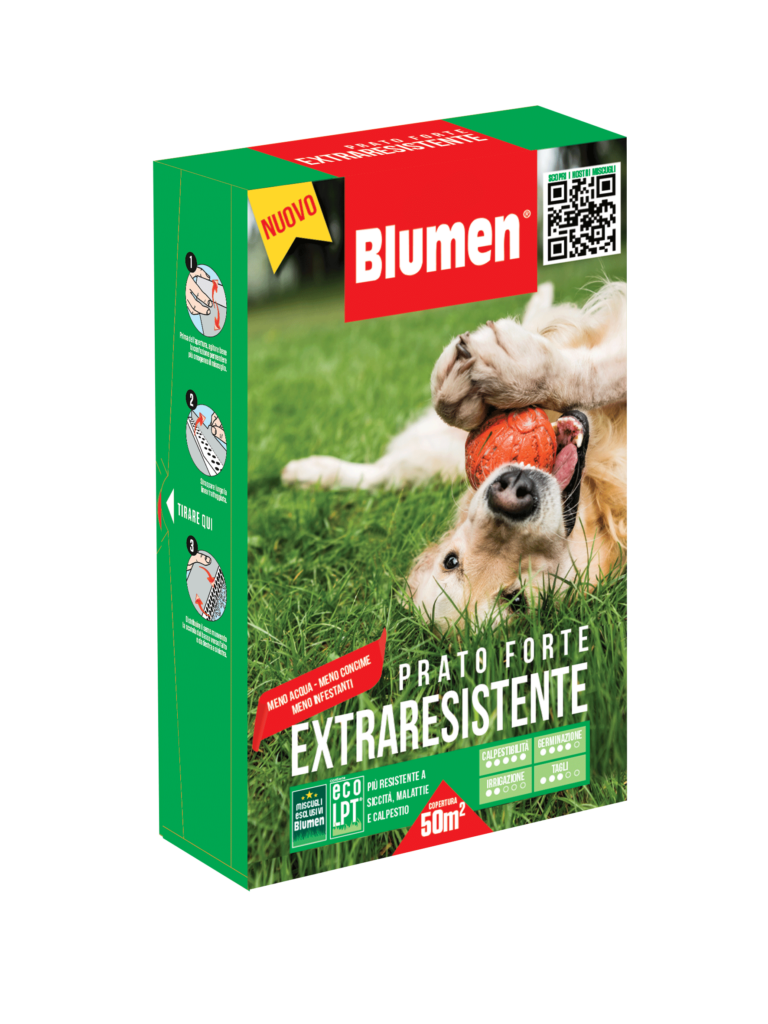 Semi Prato Forte Soleggiato Blumen - 1kg | Per Terreni Soleggiati | Calpestabile