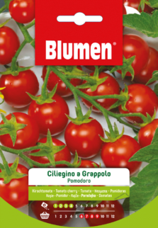 Pomodoro Ciliegino A Grappolo